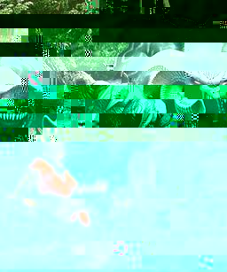 Summonercover.jpg